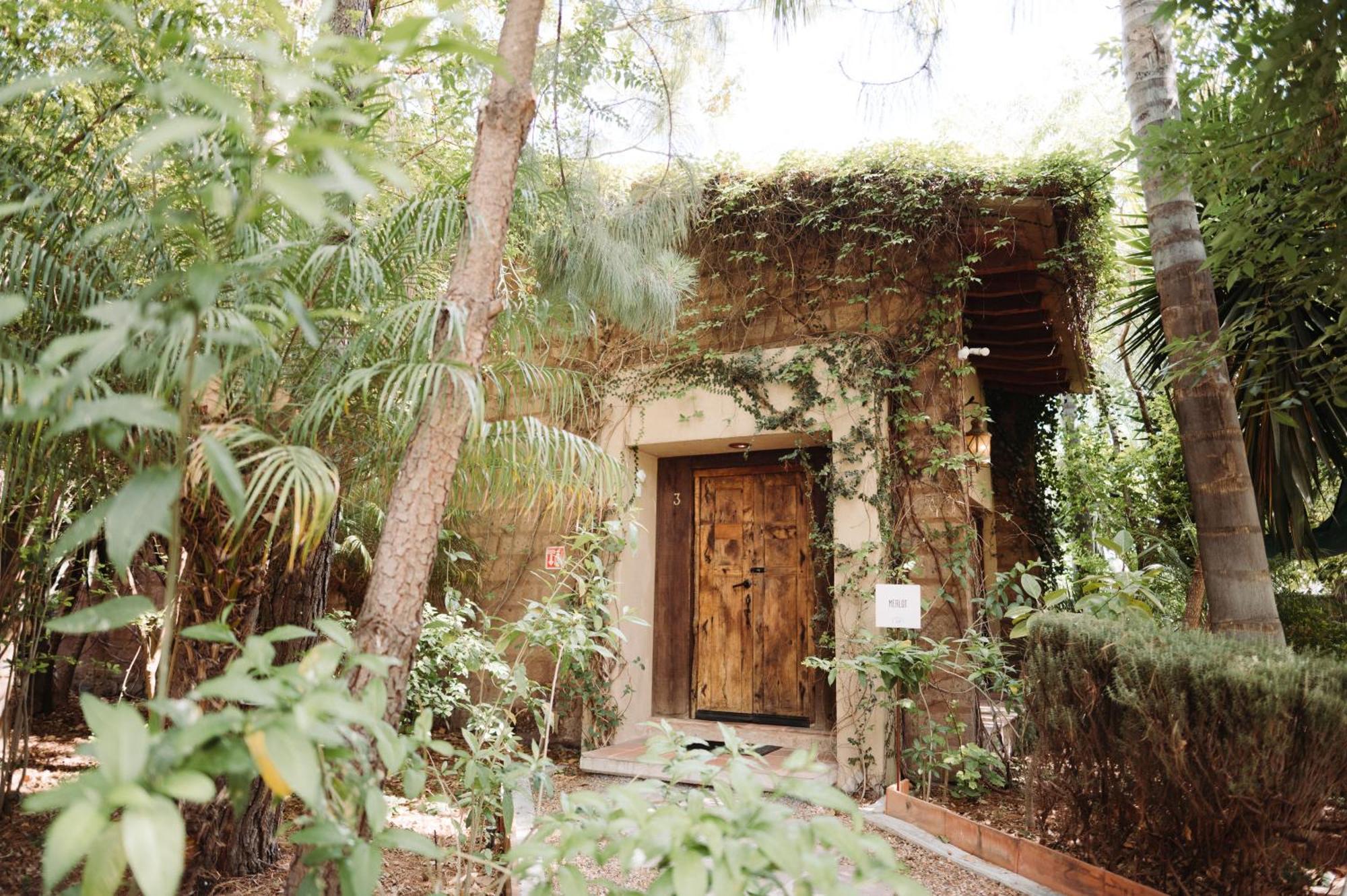 Bed and Breakfast Maria & Bernardo Casa - Vinedo El Coyote Esterno foto